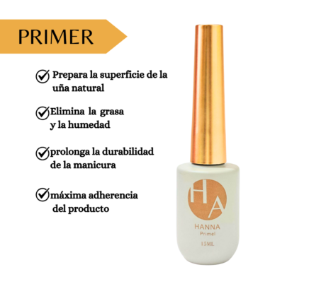 5 Patas para una mayor firmeza (480 x 420 px) – 2025-10-13T123157.849